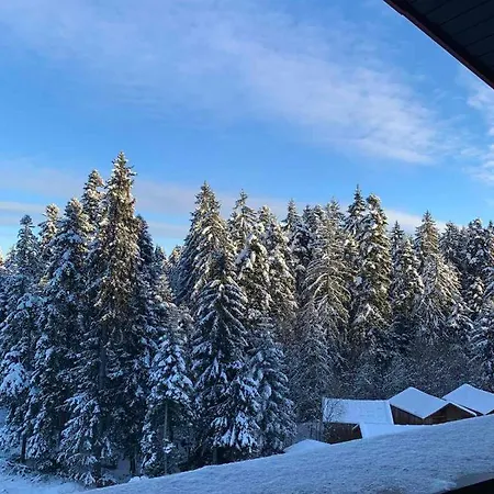 Ski Mimi Iglika 2 *